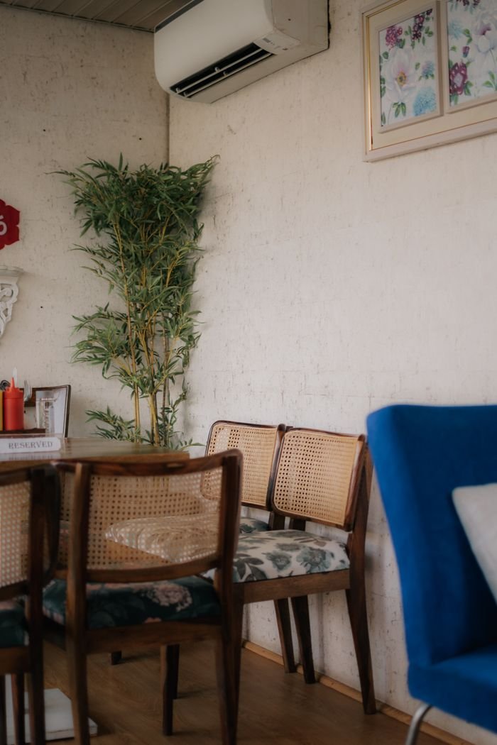 An inviting dining space featuring vintage chairs, potted plants, and an air conditioner in a home interior.