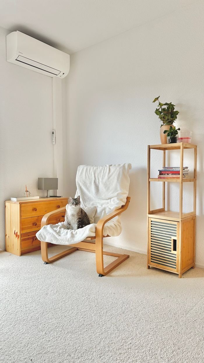 A cozy minimalist living room featuring modern furniture with a cat on a chair, perfect for home design inspiration.